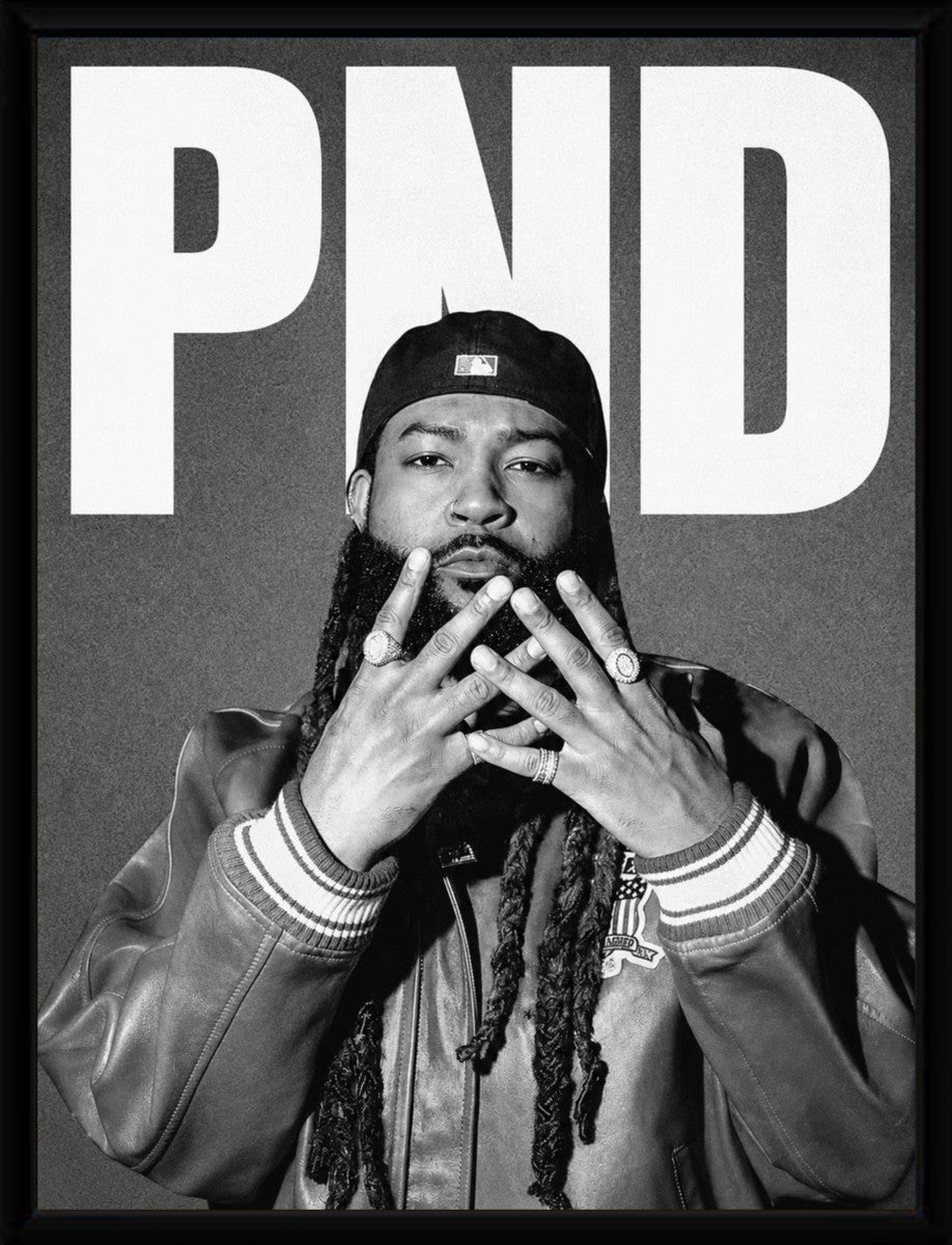 The Party Next Door poster displayed in a sleek black frame, enhancing its modern aesthetic.