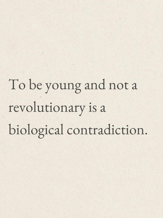 A motivational poster featuring the quote about youth and revolution.
