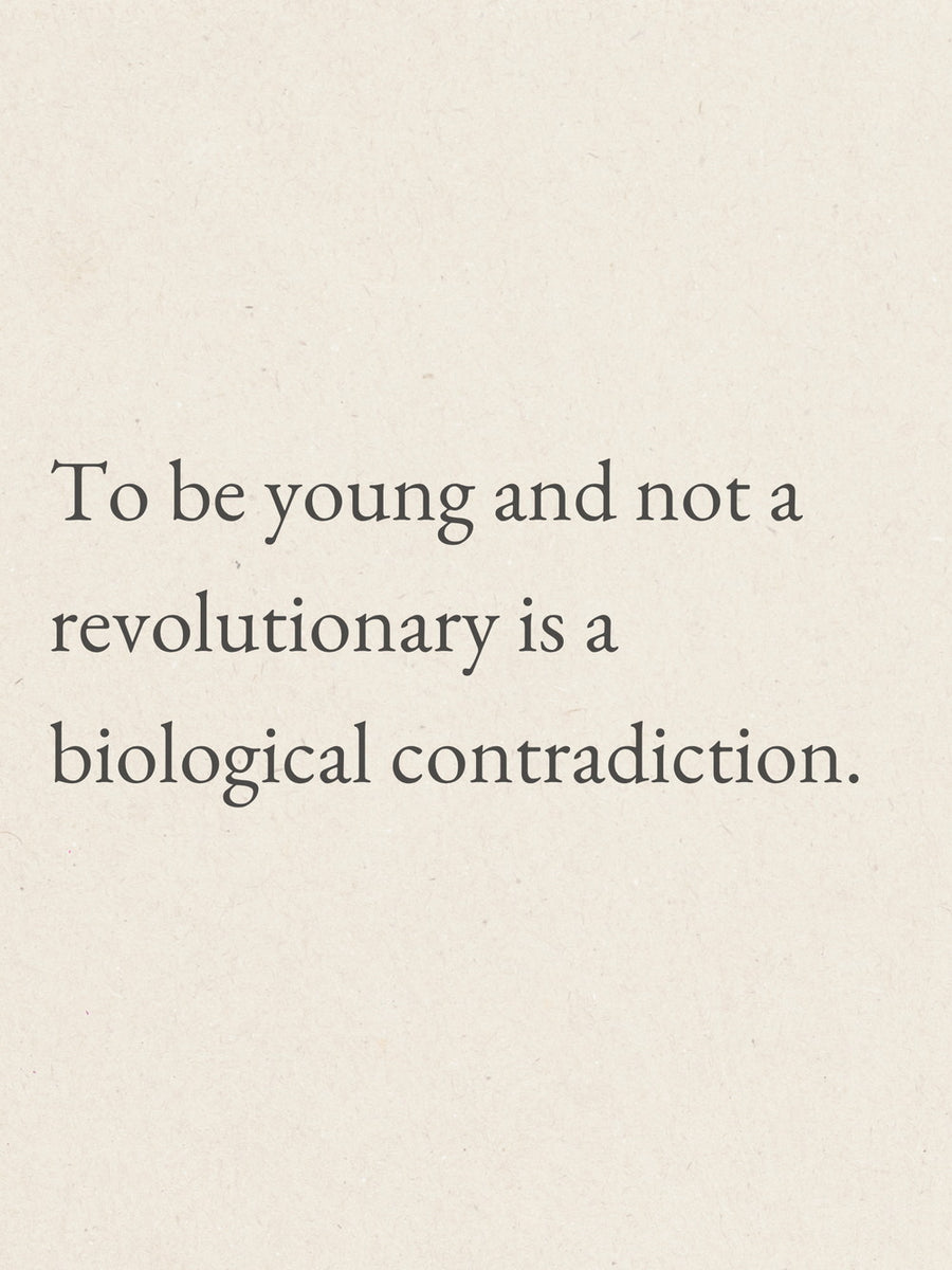 A motivational poster featuring the quote about youth and revolution.